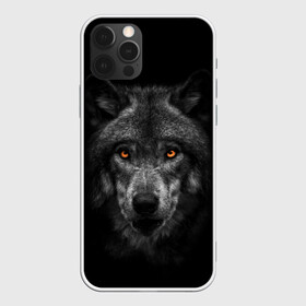 Чехол для iPhone 12 Pro Max с принтом Evil Wolf в Рязани, Силикон |  | animal | beast | dark | darkness | evil | moon | nigth | tegunvteg | werwolf | wild | wolf | вервольф | вой | волк | волки | волчара | дикий | животное | зверь | клык | клыки | луна | ночь | оборотень | полнолуние