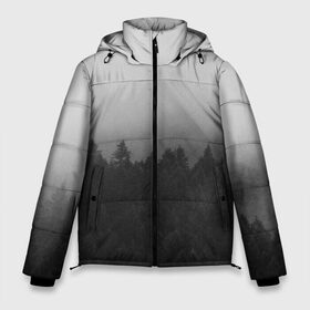 Мужская зимняя куртка 3D с принтом Туманный лес в Рязани, верх — 100% полиэстер; подкладка — 100% полиэстер; утеплитель — 100% полиэстер | длина ниже бедра, свободный силуэт Оверсайз. Есть воротник-стойка, отстегивающийся капюшон и ветрозащитная планка. 

Боковые карманы с листочкой на кнопках и внутренний карман на молнии. | Тематика изображения на принте: tegunvteg | деревья | лес | листья | природа | темный лес | туман | туманный лес