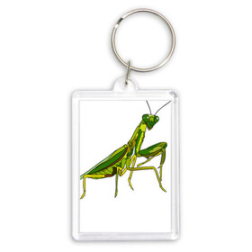 Брелок прямоугольный 35*50 с принтом Богомол в Рязани,  |  | animals | insect | mantis | nature | summer | богомол | весна | дикие | животные | жуки | звери | зеленый богомол | клещни | комары | кузнечики | лапки | лето | мухи | насекомое | природа | самка | стрекоза | существа | усики