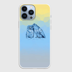 Чехол для iPhone 13 Pro Max с принтом Совиная нежность в Рязани,  |  | 2021 | color2021 | illuminating | pantone | ultimate grey | yellow | желтый | любовь | природа | путешествия | серый | совы