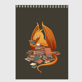 Скетчбук с принтом Book Dragon в Рязани, 100% бумага
 | 48 листов, плотность листов — 100 г/м2, плотность картонной обложки — 250 г/м2. Листы скреплены сверху удобной пружинной спиралью | book | books | dragon | knowledge | professor | study | tea | wyvern | виверна | дракон | знания | книга | книги | книжный | профессор | чай