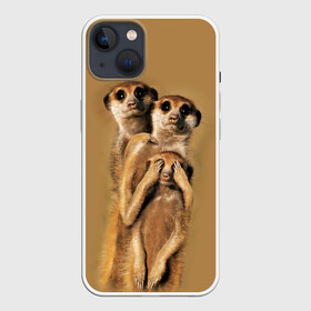 Чехол для iPhone 13 с принтом Сурикаты в Рязани,  |  | животные | прикол | прикольные животные | природа | смешные | смешные животные | сурикат
