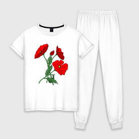 Женская пижама хлопок с принтом Букет маковых цветов в Рязани, 100% хлопок | брюки и футболка прямого кроя, без карманов, на брюках мягкая резинка на поясе и по низу штанин | flowers | nature | poppies | алые | арт | букет | бутоны | весна | ветки | зелень | красные маки | красные цветы | лепестки | лето | листья | любовь | маки | подарок | полевые цветы | природа | растения | рисунок | сад