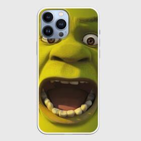 Чехол для iPhone 13 Pro Max с принтом Shrek | Шрек в Рязани,  |  | Тематика изображения на принте: 20 | 4к | boots | cat | donkey | fiona | green | in | me | meme | memes | once | shrek | somebody | told | в | зеленый | кот | лет | мем | мемы | мульт | мультфильм | огр | огры | осел | сапогах | фиона | шрек