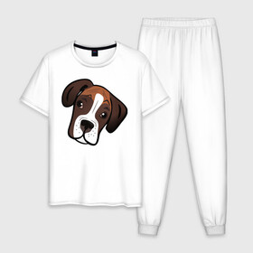 Мужская пижама хлопок с принтом Боксер в Рязани, 100% хлопок | брюки и футболка прямого кроя, без карманов, на брюках мягкая резинка на поясе и по низу штанин
 | Тематика изображения на принте: лучший друг человека | немецкий боксер | собака