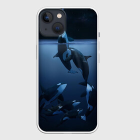 Чехол для iPhone 13 с принтом касатки в Рязани,  |  | ocean | orca | sea | sea animal | дельфин | касатка | кит | море | океан | рисунок кита