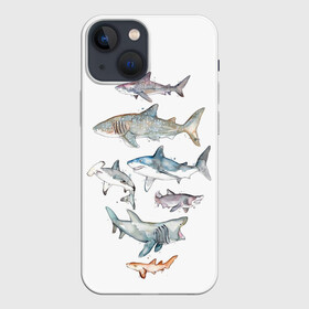 Чехол для iPhone 13 mini с принтом акулы в Рязани,  |  | ocean | sea | sea animal | акварель | акула | море | океан | рисунок