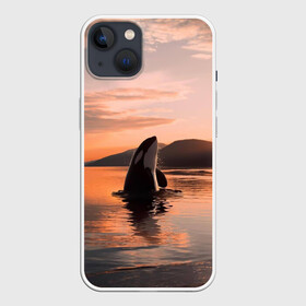 Чехол для iPhone 13 с принтом касатки на закате в Рязани,  |  | ocean | orca | sea | sea animal | дельфин | закат | касатка | кит | море | океан | рисунок кита