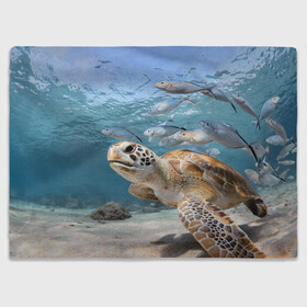 Плед 3D с принтом Морская черепаха в Рязани, 100% полиэстер | закругленные углы, все края обработаны. Ткань не мнется и не растягивается | море | морская | океан | подводный мир | рыбы | черепаха