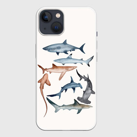 Чехол для iPhone 13 с принтом акулы в Рязани,  |  | ocean | sea | sea animal | акулы | графика | море | океан | рисунок