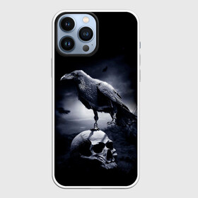 Чехол для iPhone 13 Pro Max с принтом ЧЕРЕП И ВОРОН в Рязани,  |  | birds | black | crown | death | horror | metal | skull | арт | ворон | зомби | кости | птицы | скелет | череп | черный