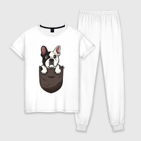 Женская пижама хлопок с принтом Карманный пёс в Рязани, 100% хлопок | брюки и футболка прямого кроя, без карманов, на брюках мягкая резинка на поясе и по низу штанин | бульдог | дог | карман | пес | собака