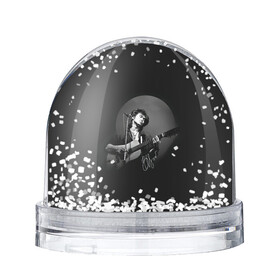Игрушка Снежный шар с принтом Цой на концерте в Рязани, Пластик | Изображение внутри шара печатается на глянцевой фотобумаге с двух сторон | kino | rock | кино | музыкант | рок | русский рок | сой | тцой | цой