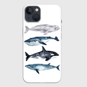 Чехол для iPhone 13 с принтом киты в Рязани,  |  | ocean | orca | sea | sea animal | whale | белуха | дельфин | касатка | кит | море | океан | рисунок кита | синий кит