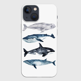 Чехол для iPhone 13 mini с принтом киты в Рязани,  |  | ocean | orca | sea | sea animal | whale | белуха | дельфин | касатка | кит | море | океан | рисунок кита | синий кит