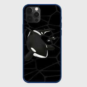 Чехол для iPhone 12 Pro с принтом Косатки в Рязани, силикон | область печати: задняя сторона чехла, без боковых панелей | Тематика изображения на принте: whale | кит | косатка | косатки | морские