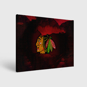 Холст прямоугольный с принтом CHICAGO NHL в Рязани, 100% ПВХ |  | blackhawks | chicago | iron | logo | nhl | red | sport | usa | блэкхоукс | железо | логотип | нхл | сетка | спорт | сша | хоккей | чикаго