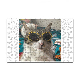 Головоломка Пазл магнитный 126 элементов с принтом Мем про кота в Рязани, полимерный материал с магнитным слоем | 126 деталей, размер изделия —  180*270 мм | в очках | киса селфи | кот | мем | милый | прикол