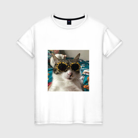 Женская футболка хлопок с принтом Мем про кота в Рязани, 100% хлопок | прямой крой, круглый вырез горловины, длина до линии бедер, слегка спущенное плечо | в очках | киса селфи | кот | мем | милый | прикол