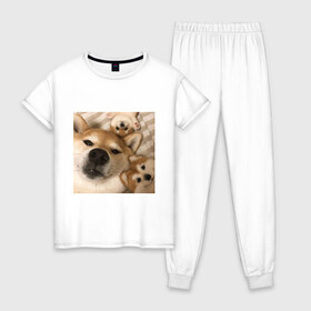 Женская пижама хлопок с принтом Мем про собак в Рязани, 100% хлопок | брюки и футболка прямого кроя, без карманов, на брюках мягкая резинка на поясе и по низу штанин | белый | игрушки мягкие | мем | милый | прикол | сиба ину | собака