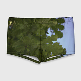 Мужские купальные плавки 3D с принтом Летние дубы в Рязани, Полиэстер 85%, Спандекс 15% |  | Тематика изображения на принте: дубы | лето | листва | природа