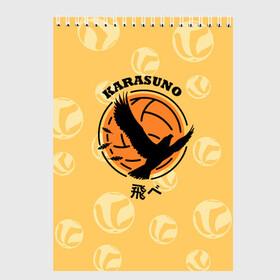 Скетчбук с принтом Старшая школа Карасуно Haikyu! в Рязани, 100% бумага
 | 48 листов, плотность листов — 100 г/м2, плотность картонной обложки — 250 г/м2. Листы скреплены сверху удобной пружинной спиралью | Тематика изображения на принте: anime | haikyu | haikyuu | karasuno | karasuno high | manga | аниме | волейбол | волейбольный клуб | ворон | вороны | карасуно | крылья | лого | логотип | манга | надпись | птица | старшая школа | хаику | хаикую