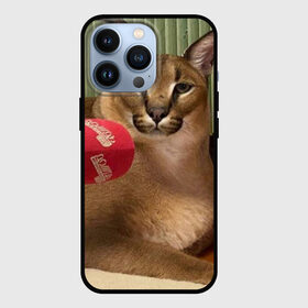 Чехол для iPhone 13 Pro с принтом Шлёпа в Рязани,  |  | Тематика изображения на принте: floppa | большой | военный | каракал | кот | преступник | русский | шлёпа