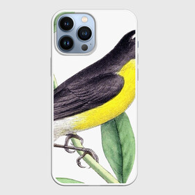 Чехол для iPhone 13 Pro Max с принтом Птица в Рязани,  |  | animal | animals | bird | birds | black | blue | colorful | cool | crow | cute | forest | fun | funny | green | mountains | music | nature | pat | pink | raven | retro | tree | vintage | wildlife | yellow | ветка | желтый | животные | листья | природа | п