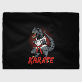 Плед 3D с принтом KARATE T-REX в Рязани, 100% полиэстер | закругленные углы, все края обработаны. Ткань не мнется и не растягивается | Тематика изображения на принте: animal | dinosaur | fight | fighter | hunter | karate | red | sport | strong | t rex | боец | бои | динозавр | карате | сила | спорт | тиранозавр | хищник