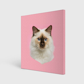 Холст квадратный с принтом Пушистый кот в Рязани, 100% ПВХ |  | белоснежный | взгляд | глаза | голубоглазый | киса | киска | кот | котик | котяра | профиль | пушистый | усы | уши