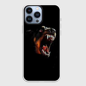 Чехол для iPhone 13 Pro Max с принтом РОТВЕЙЛЕР в Рязани,  |  | Тематика изображения на принте: animal | dog | evil | fury | домашние | животные | звери | злой | зубы | клыки | пасть | пес | ротвейлер | собака | ярость