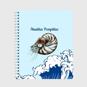 Тетрадь с принтом Nautilus Pompilius океан в Рязани, 100% бумага | 48 листов, плотность листов — 60 г/м2, плотность картонной обложки — 250 г/м2. Листы скреплены сбоку удобной пружинной спиралью. Уголки страниц и обложки скругленные. Цвет линий — светло-серый
 | Тематика изображения на принте: nau | nautilus pompilius | альбом | ассоциация | внуки энгельса | вячеслав бутусов | группа | настя | нау | наутилус | наутилус помпилиус | наутилусы | нп | рок | русский | советский | урфин джюс | ю питер