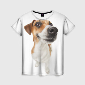 Женская футболка 3D с принтом Собака в Рязани, 100% полиэфир ( синтетическое хлопкоподобное полотно) | прямой крой, круглый вырез горловины, длина до линии бедер | dog | джек | джек рассел | джек рассел терьер | дог | домашние животные | рассел | рассел терьер | собака | собаки | терьер
