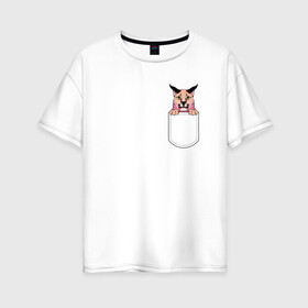 Женская футболка хлопок Oversize с принтом Шлёпа в кармане в Рязани, 100% хлопок | свободный крой, круглый ворот, спущенный рукав, длина до линии бедер
 | flopa | floppa | каракал | кот мем | мем с котом | русский кот | шлёпа