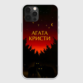 Чехол для iPhone 12 Pro с принтом Агата Кристи чудеса в Рязани, силикон | область печати: задняя сторона чехла, без боковых панелей | agatha christie | gleb samoilov | rock band | the matrixx | vadim samoilov | агата кристи | альтернативный | арт | вадим самойлов | волки | глеб самойлов | глэм | готик | метал | новая волна | ночь | панк | постпанк | психоделический