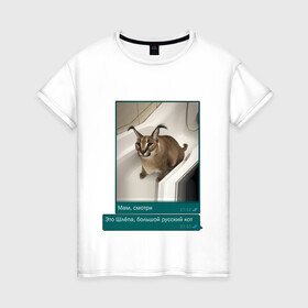 Женская футболка хлопок с принтом Шлёпа в Рязани, 100% хлопок | прямой крой, круглый вырез горловины, длина до линии бедер, слегка спущенное плечо | каракал | кот | мемы | русский кот | рысь | шлёпа