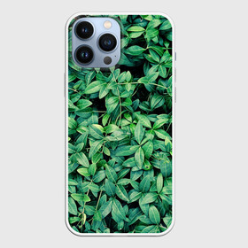 Чехол для iPhone 13 Pro Max с принтом Барвинок в Рязани,  |  | Тематика изображения на принте: art | ветви. | зелень | листья | натуральное | природа | растение
