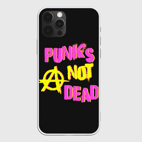 Чехол для iPhone 12 Pro Max с принтом Панк анархия в Рязани, Силикон |  | alternative | music | punk | punks not dead | rock | альтернатива | музыка | панк | панки не умерают | панкс нот дэд | рок