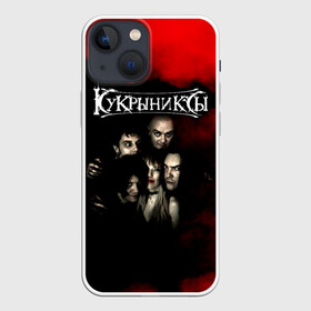 Чехол для iPhone 13 mini с принтом Группа Кукрыниксы в Рязани,  |  | gorshenev | kukryniksy | rock group | алексей горшенёв | альтернативный | вагон | горшенев | горшок | готик | дмитрий оганян | игорь воронов | кукрыниксы | михаил фомин | панк | панкрок | постпанк | рок группа