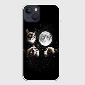 Чехол для iPhone 13 с принтом ГРУСТНЫЕ ЛУННЫЕ КОТЫ в Рязани,  |  | cat | cosmo | face | memes | night | sky | stars | голова | звезды | интернет | космос | коты | кошки | лицо | луна | мем | ночь | отражение | прикол | рисунок