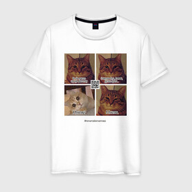 Мужская футболка хлопок с принтом Котики фантаста в Рязани, 100% хлопок | прямой крой, круглый вырез горловины, длина до линии бедер, слегка спущенное плечо. | cats | humour | joke | meme | sarcasm | writers | коты | мем | писатели | сарказм | юмор