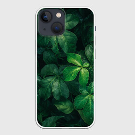 Чехол для iPhone 13 mini с принтом Тропическая листва | Тропики (Z) в Рязани,  |  | jungle | tropical foliage | tropical tree | tropical tree leaves | tropics | джунгли | листья тропического дерева | тропики | тропическая листва | тропическое дерево