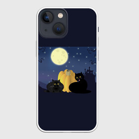 Чехол для iPhone 13 mini с принтом Котострашилка в Рязани,  |  | halloween | helloween | ведьма | котики | мистика | мистический дом | ночь | страшно | тыква | хеллоуин | хэллоуин