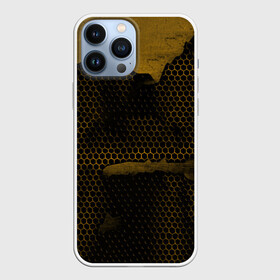 Чехол для iPhone 13 Pro Max с принтом Pittsburgh Penguins на спине в Рязани,  |  | canada | ice | nhl | pittsburgh penguins | sport | usa | зима | канада | лед | малкин | пингвины | питсбург | спорт | сша | хоккей | шайбу