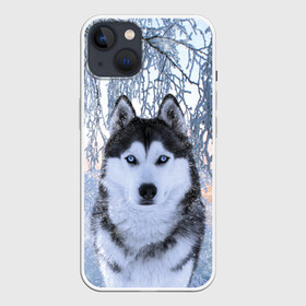 Чехол для iPhone 13 с принтом Хаски В Зимнем Лесу в Рязани,  |  | dog | forest | husky | winter | зима | лес | новый год | снег | собака | хаски