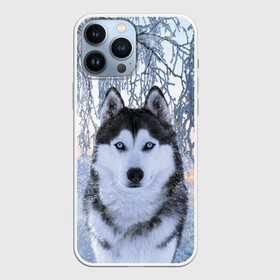 Чехол для iPhone 13 Pro Max с принтом Хаски В Зимнем Лесу в Рязани,  |  | dog | forest | husky | winter | зима | лес | новый год | снег | собака | хаски