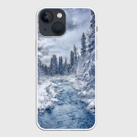 Чехол для iPhone 13 mini с принтом СНЕЖНЫЙ ПЕЙЗАЖ в Рязани,  |  | Тематика изображения на принте: fores | ice | snow | white | winter | белый | вода | зима | иней | красота | лед | лес | мороз | небо | новый год | пейзаж | природа | река | ручей | снег