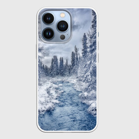 Чехол для iPhone 13 Pro с принтом СНЕЖНЫЙ ПЕЙЗАЖ в Рязани,  |  | fores | ice | snow | white | winter | белый | вода | зима | иней | красота | лед | лес | мороз | небо | новый год | пейзаж | природа | река | ручей | снег