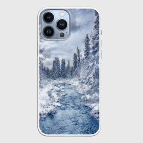 Чехол для iPhone 13 Pro Max с принтом СНЕЖНЫЙ ПЕЙЗАЖ в Рязани,  |  | fores | ice | snow | white | winter | белый | вода | зима | иней | красота | лед | лес | мороз | небо | новый год | пейзаж | природа | река | ручей | снег