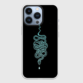 Чехол для iPhone 13 Pro с принтом вьющаяся змея в Рязани,  |  | animal | blue | curly | dangerous | deadly | ghostly | phobia | reptile | snake | вьющаяся | голубая | животное | змея | опаснавя | призрачная | фобия